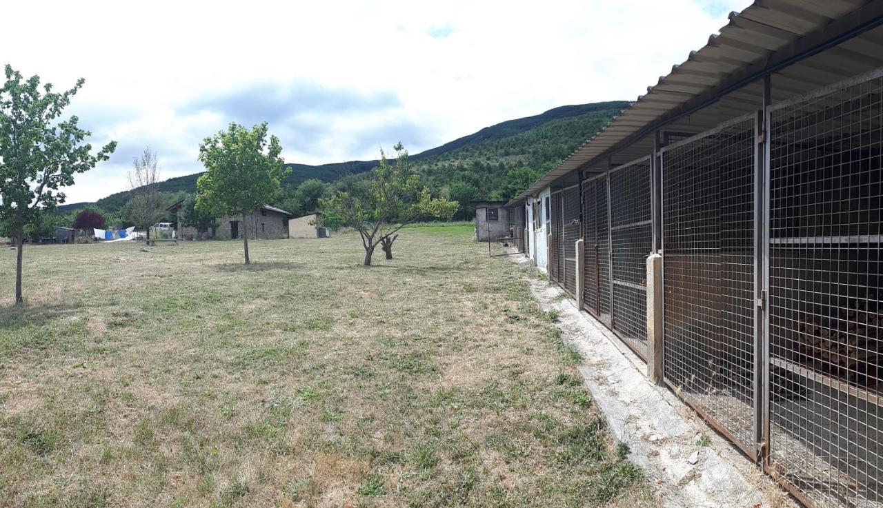 Albergue A'Noguera Castiello de Jaca Eksteriør billede